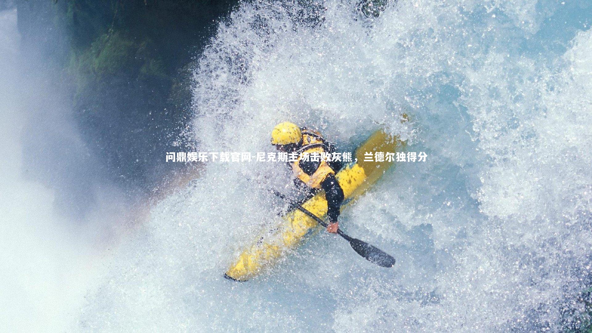 尼克斯主场击败灰熊，兰德尔独得分